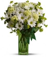 St. Patrick\'s Day-zies by Teleflora