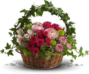 Plants/Dish Gardens
